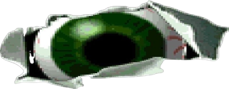 Asset